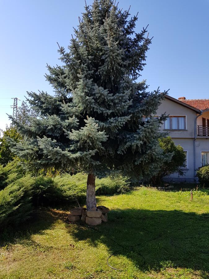 Къща За Гости Садово Guest House Sadovo Exterior foto